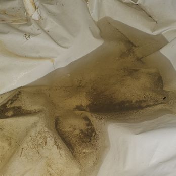Crawl Space Vets - Waterproofing Near Me - Nashville, Tennessee Crawl Space Vets - Waterproofing Near Me - Nashville, Tennessee