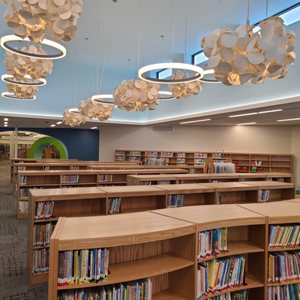 LOCKPORT PUBLIC LIBRARY - Updated December 2024 - 10 Photos - 23 East ...
