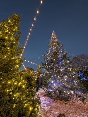 L.L.Bean Flagship by null