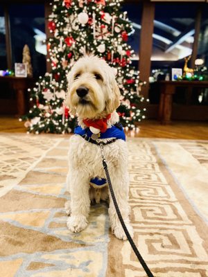 Suncadia Resort, a Destination by Hyatt Hotel by null