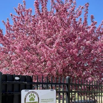 Chouteau Park - Fenced Dog Area - Parks Near Me - St. Louis, Missouri