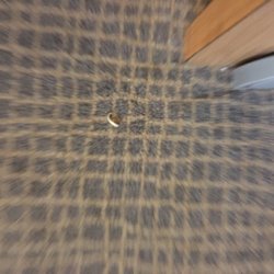 Novotel Cergy Pontoise Hôtel - Not my toenail!   Carpets not vacuumed