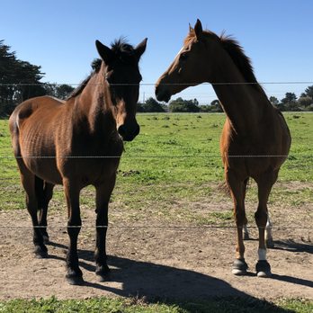 Branscomb Farm - Farms Near Me - Half Moon Bay, California
