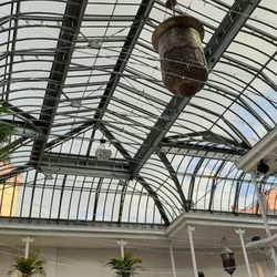 Palmenhaus - Roof