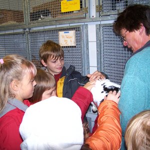 Tierschutzverein Forchheim u. Umgebung e.V. on Yelp