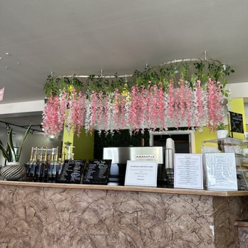 The Fresh Lime - a bar with a bunch of flowers hanging from the ceiling - Juice Bars & Smoothies Near Me - College Place, Washington The Fresh Lime - a bar with a bunch of flowers hanging from the ceiling - Juice Bars & Smoothies Near Me - College Place, Washington