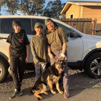 PowerHouseK9 - Pet Training Near Me
