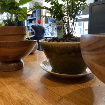 Austin’s Coffee Crafters - Coffee & Tea Near Me - Ripon, California Austin’s Coffee Crafters - Coffee & Tea Near Me - Ripon, California
