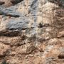 Photo of Gorges du Verdon