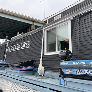 Black Duck Cafe - Enough said we have arrived! - Bars Near Me - Westport, Connecticut