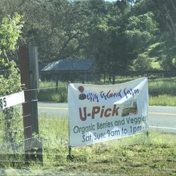 UPick berry fun!