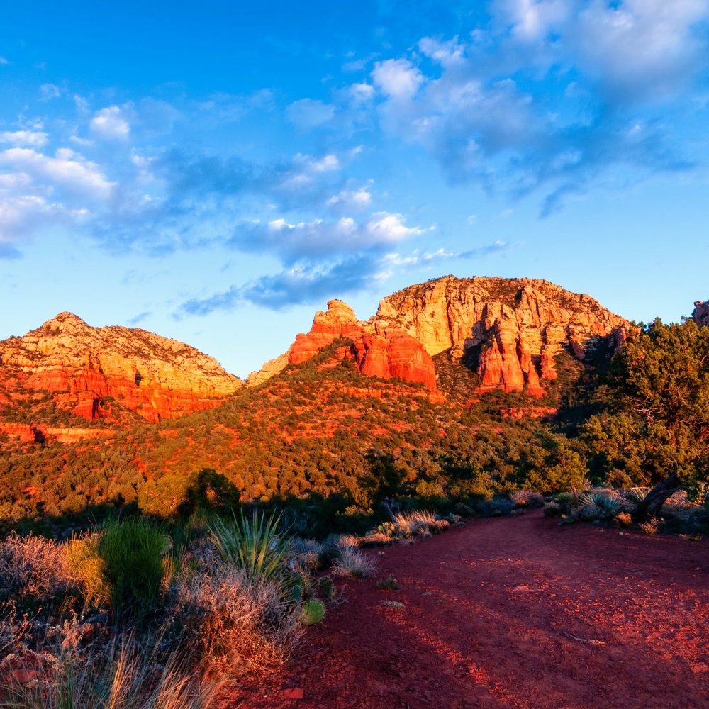 TOP 10 BEST Things to Do near Valle, AZ 86046 - Updated 2026 - Yelp