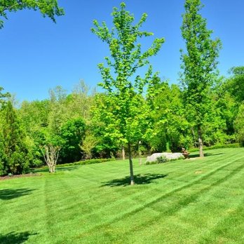 Noveron Landscaping Design - a man mowing a lawn - Tree Services Near Me - Newark, Delaware Noveron Landscaping Design - a man mowing a lawn - Tree Services Near Me - Newark, Delaware