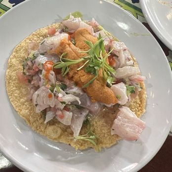 Holbox - Ceviche Mixto - Latin American Near Me - Los Angeles, California Holbox - Ceviche Mixto - Latin American Near Me - Los Angeles, California