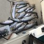 Photo of Fish On Charter