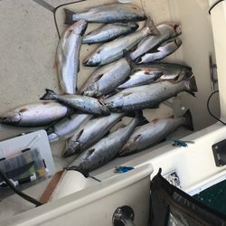 Fish On Charter