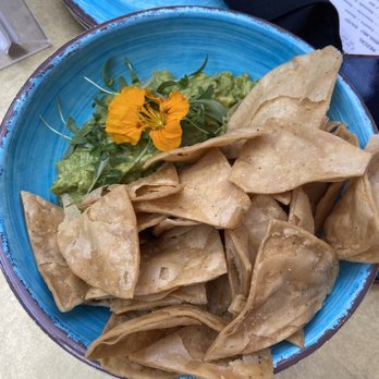 Tacovision - Guacamole - Tacos Near Me - New York, New York Tacovision - Guacamole - Tacos Near Me - New York, New York