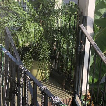 Banana Courtyard - View from room looking left - Bed & Breakfast Near Me - New Orleans, Louisiana