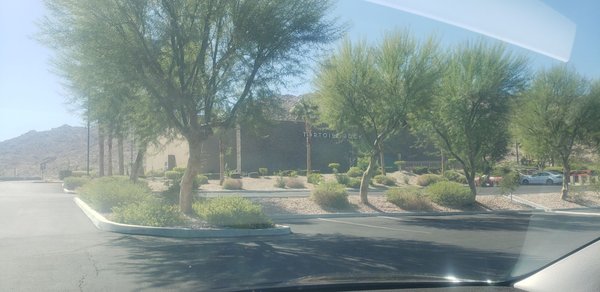 Tortoise Rock Casino by null