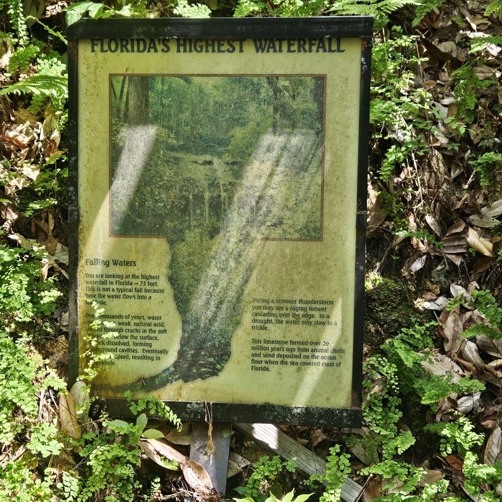 Falling Waters State Park - Parks Near Me - Chipley, Florida Falling Waters State Park - Parks Near Me - Chipley, Florida