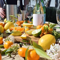 Turkey Flat Vineyards - Quinquina masterclass - mix up a cocktail!