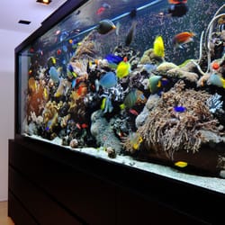Aquarium Architecture