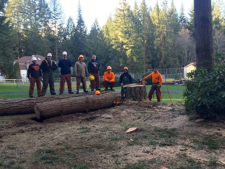 PA’S TREE SERVICES - Updated October 2025 - 27 Photos & 58 Reviews ...