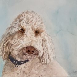 Jayne Spencer Watercolors