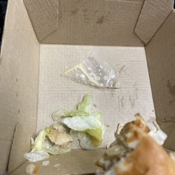 McDonald's - Piece of plastic found within my Big Mac.