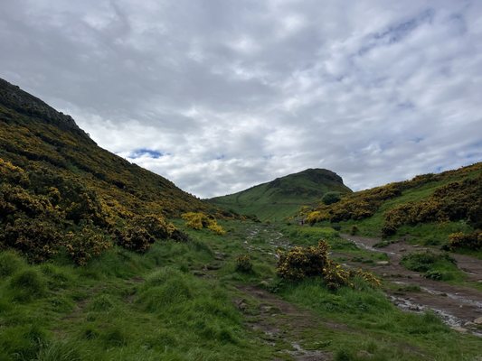 Arthur's Seat by null