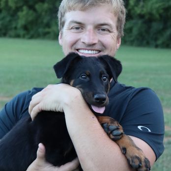 Prince K9 Training - Pet Training Near Me - Murfreesboro, Tennessee Prince K9 Training - Pet Training Near Me - Murfreesboro, Tennessee