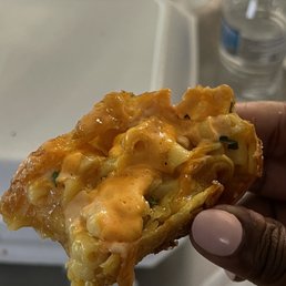Chicken Egg Roll