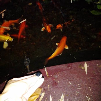 The Ranch House - Venues & Event Spaces Near Me - Ojai, California The Ranch House - Venues & Event Spaces Near Me - Ojai, California
