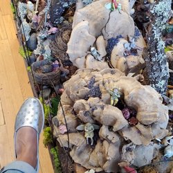 Narnia Studios - The huge mushroom, my foot for scale, it's HUMONGOUS!