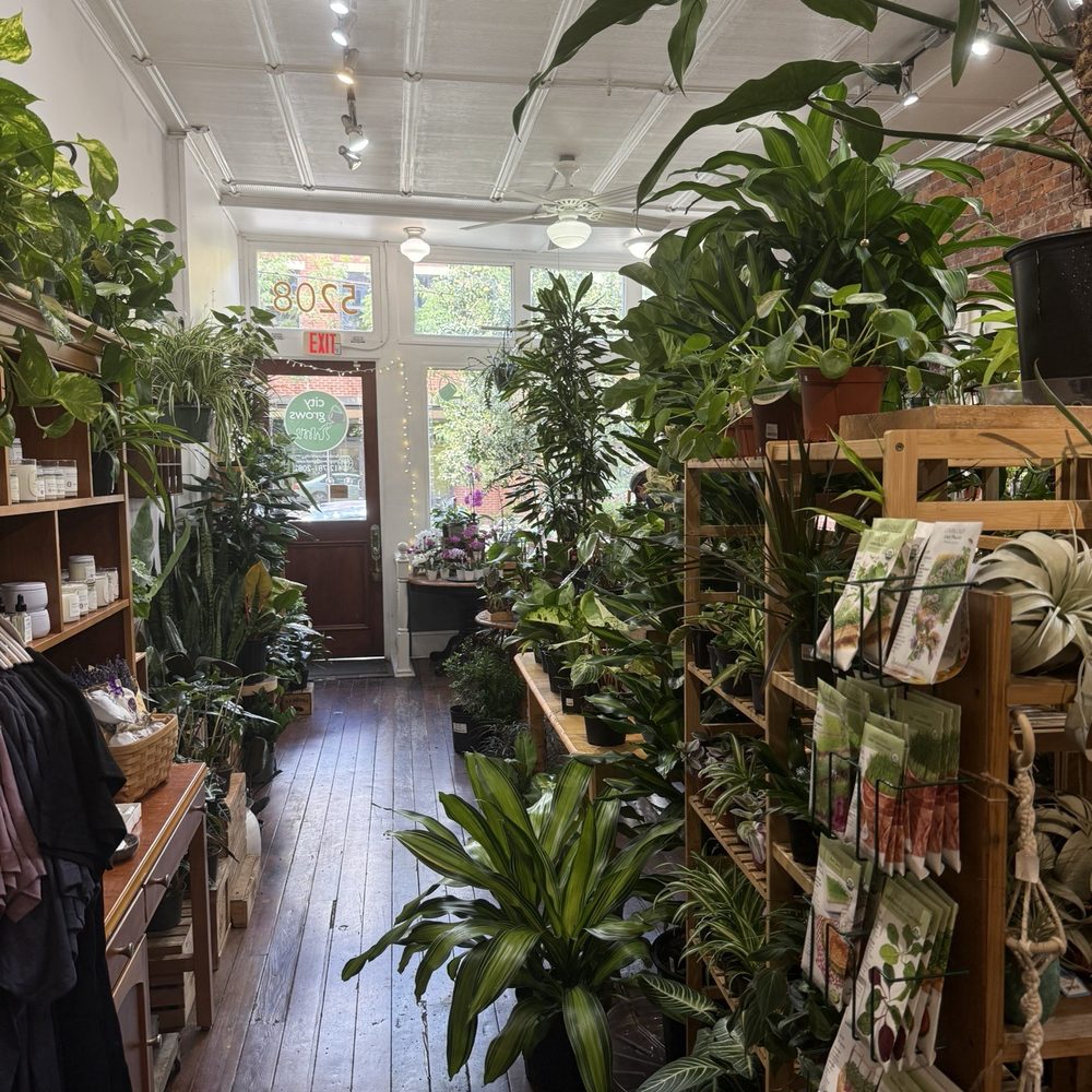 TOP 10 BEST House Plants in Pittsburgh, PA - Updated 2025 - Yelp