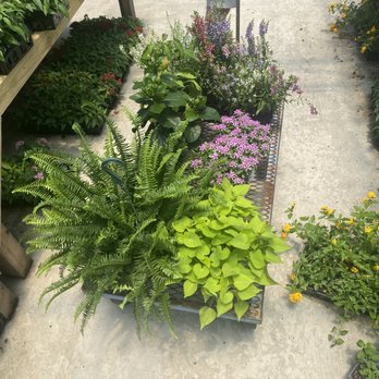 Home Grown Plants - Nurseries & Gardening Near Me - Farmersville, Texas