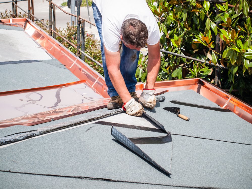 Slide of 3M Restorations