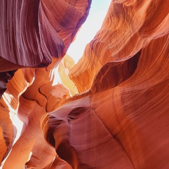 National Park Express - Tours Near Me - Las Vegas, Nevada National Park Express - Tours Near Me - Las Vegas, Nevada