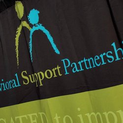 Behavioral Support Partnership