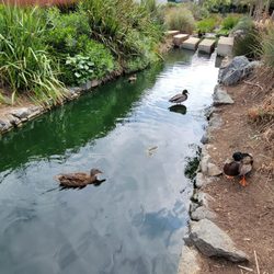 Central Park at Playa Vista