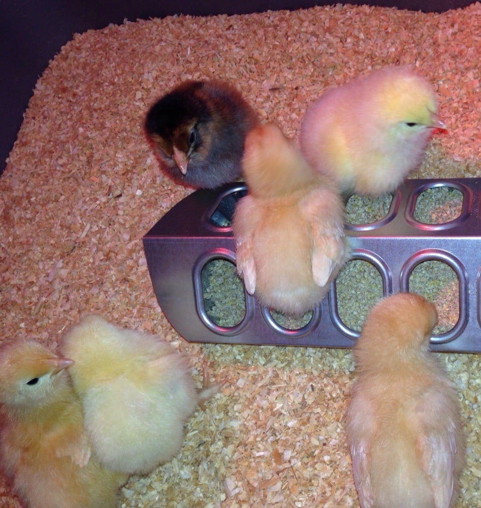 SOUTHERN STATES FREDERICK COOPERATIVE FARM STORE Updated August 2024