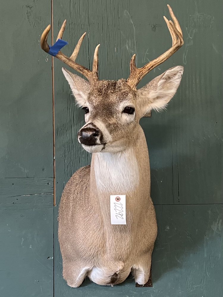 Erick's Taxidermy - taxidermy in Decatur, TX