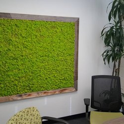 Depke Wellness - Moss Wall - My Office