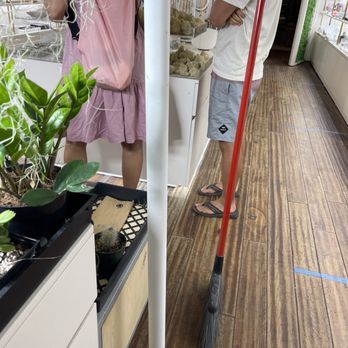 Positive Space - Nurseries & Gardening Near Me - Kaneohe, Hawaii Positive Space - Nurseries & Gardening Near Me - Kaneohe, Hawaii