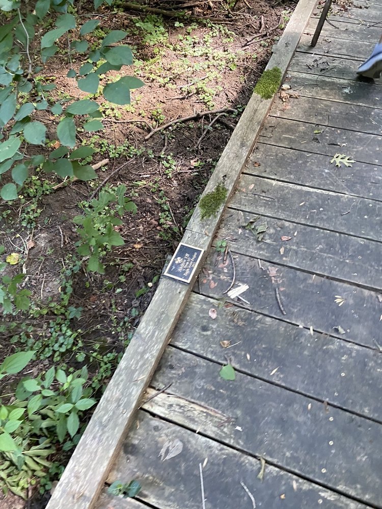 FOX HARBOR HIKING PARK Updated October 2024 20 Photos 7251 Fox Harbor Rd, Prospect