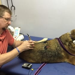 PetPT - Sora loves the laser treatments and Dr. Howe-Smith.