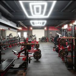 Bucky’s Gym