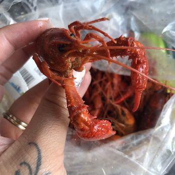 Cajun Seafood - Crawfish - Seafood Near Me - New Orleans, Louisiana