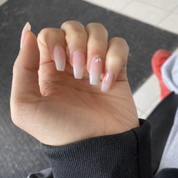Bio-Gel Extensions Bio-Gel Extensions