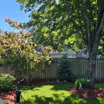 Cedar Creek Landscaping - Tree Services Near Me - Hastings , Minnesota Cedar Creek Landscaping - Tree Services Near Me - Hastings , Minnesota